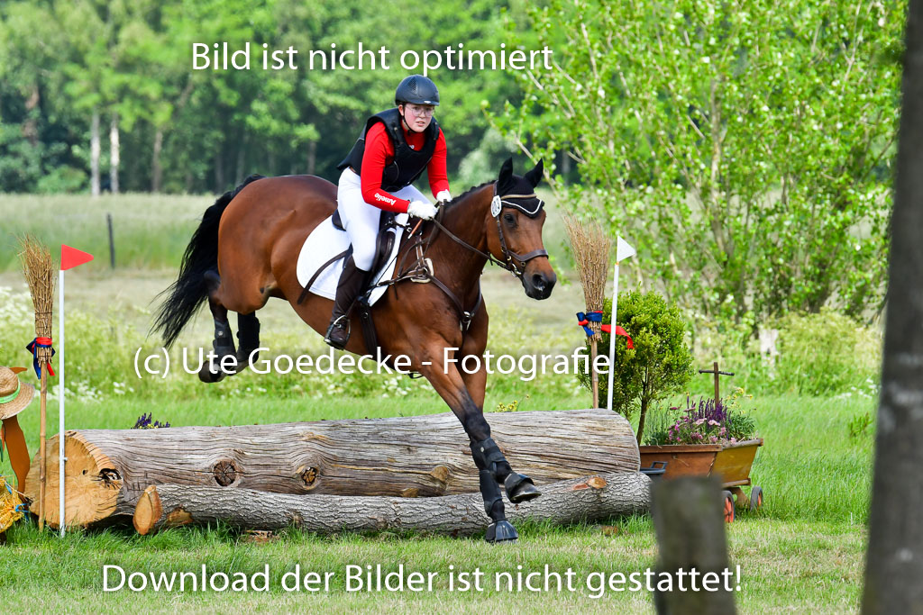 Goldene Schärpe PFerde  in Löningen  11+12.6.22 | 11062022 - Gelände 1 Abt_1074 