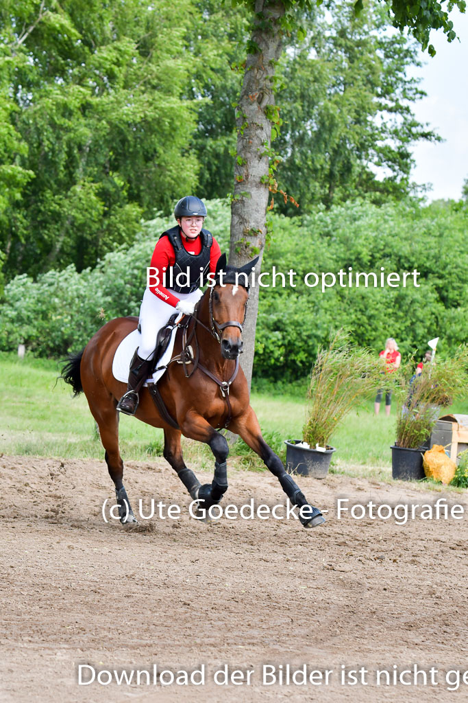 Goldene Schärpe PFerde  in Löningen  11+12.6.22 | 11062022 - Gelände 1 Abt_1075 