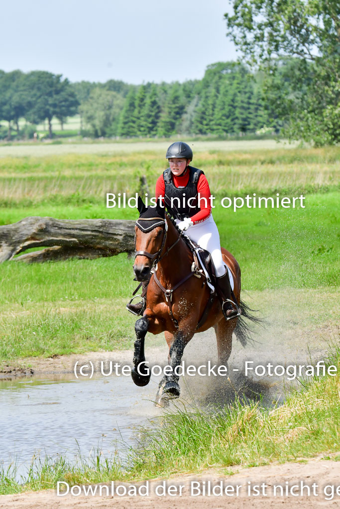 Goldene Schärpe PFerde  in Löningen  11+12.6.22 | 11062022 - Gelände 1 Abt_1077 