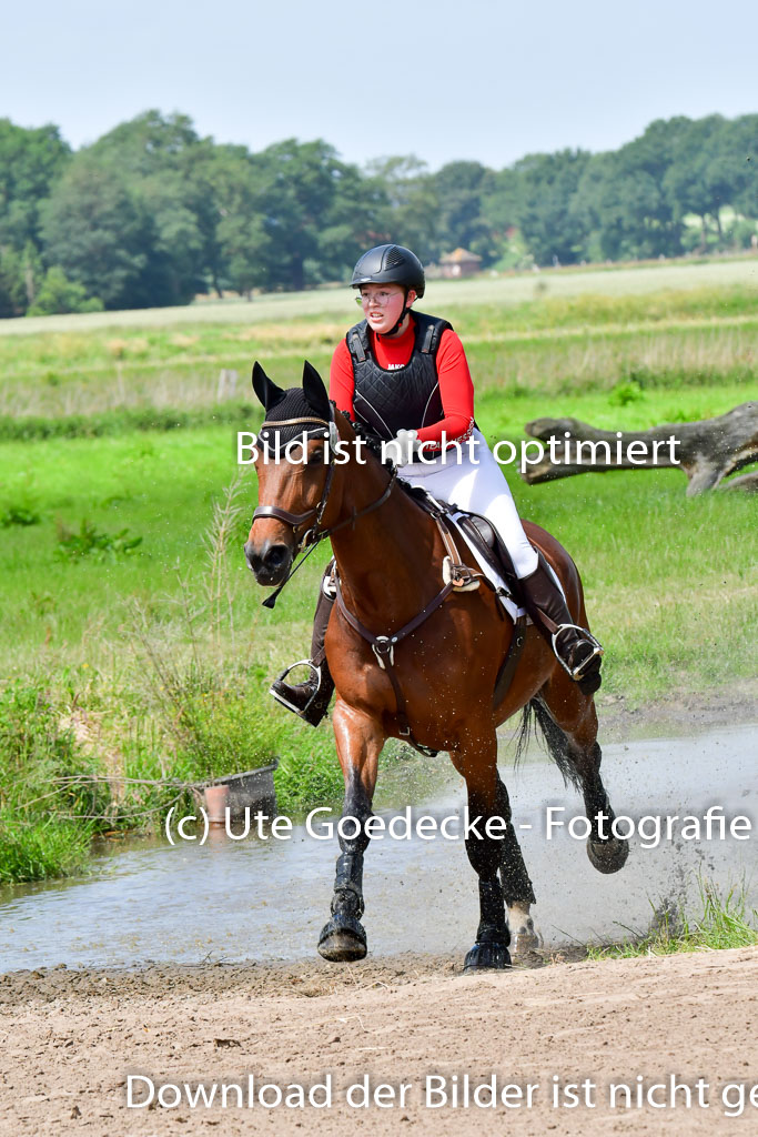 Goldene Schärpe PFerde  in Löningen  11+12.6.22 | 11062022 - Gelände 1 Abt_1079 