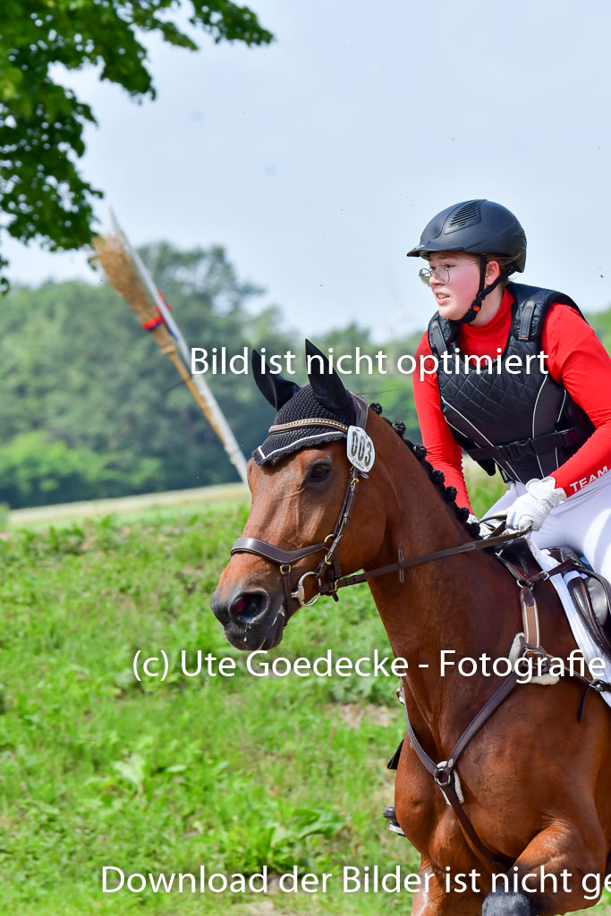 Goldene Schärpe PFerde  in Löningen  11+12.6.22 | 11062022 - Gelände 1 Abt_1082 