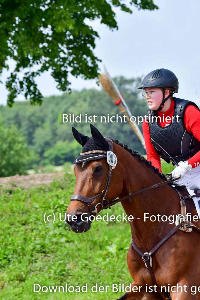 Goldene Schärpe PFerde  in Löningen  11+12.6.22 | 11062022 - Gelände 1 Abt_1083 