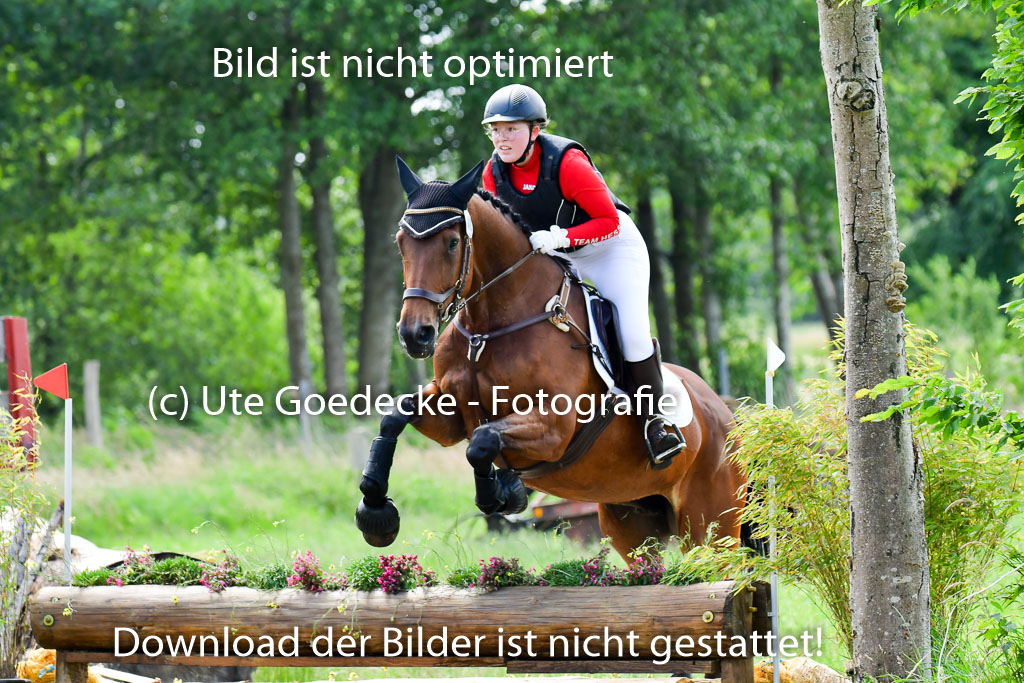 Goldene Schärpe PFerde  in Löningen  11+12.6.22 | 11062022 - Gelände 1 Abt_1084 