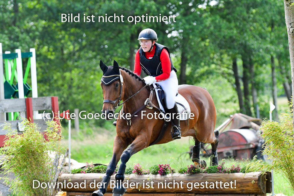 Goldene Schärpe PFerde  in Löningen  11+12.6.22 | 11062022 - Gelände 1 Abt_1086 
