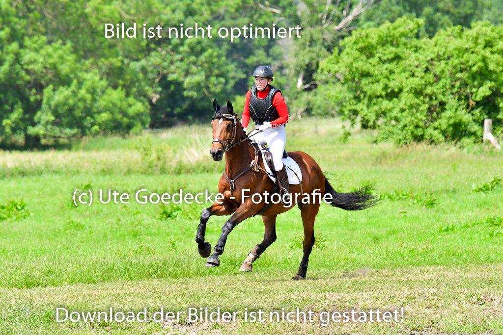 Goldene Schärpe PFerde  in Löningen  11+12.6.22 | 11062022 - Gelände 1 Abt_1089 