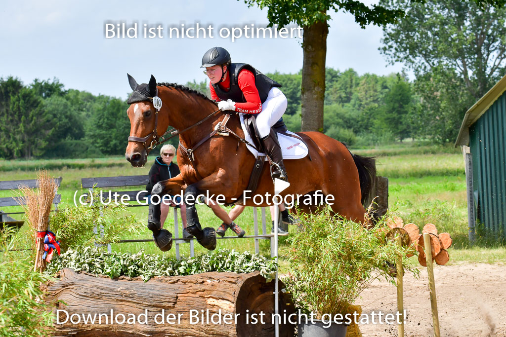 Goldene Schärpe PFerde  in Löningen  11+12.6.22 | 11062022 - Gelände 1 Abt_1091 