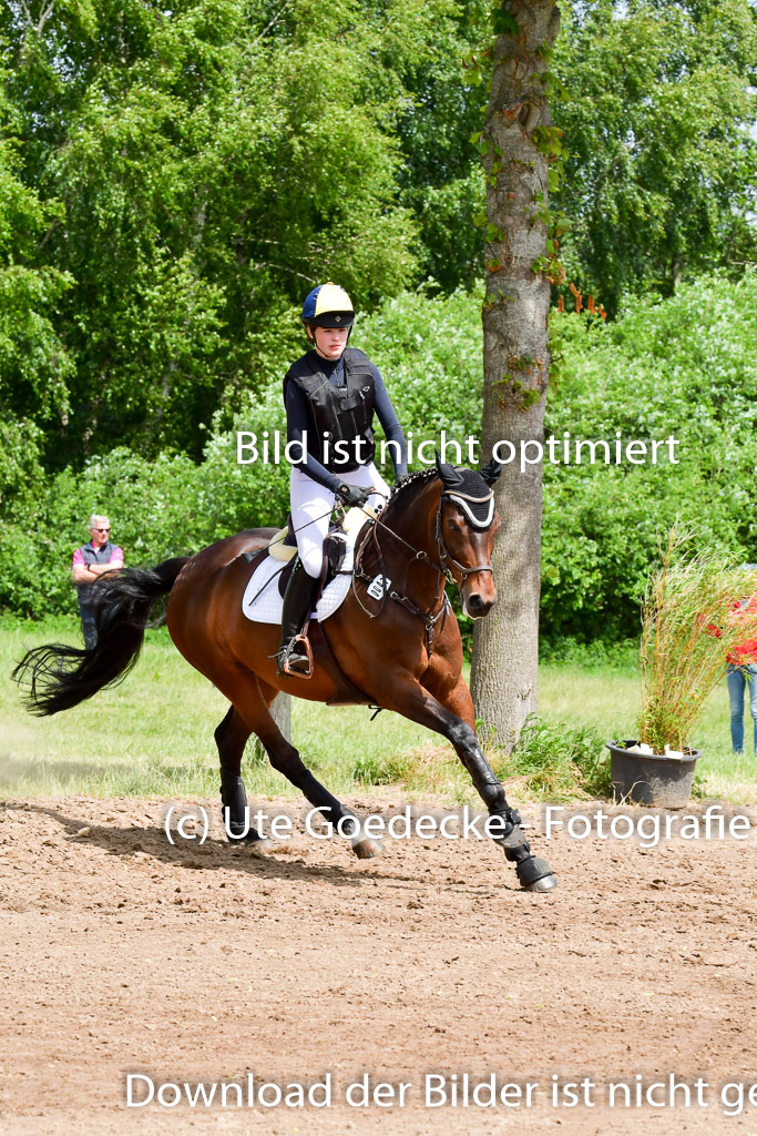 Goldene Schärpe PFerde  in Löningen  11+12.6.22 | 11062022 - Gelände 1 Abt_1096