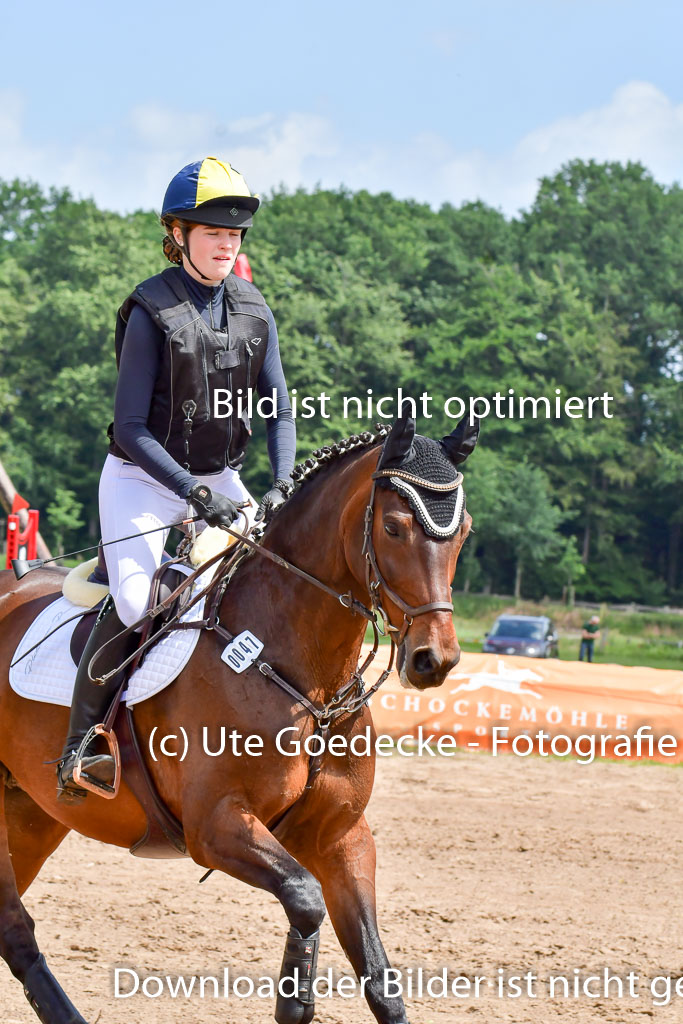 Goldene Schärpe PFerde  in Löningen  11+12.6.22 | 11062022 - Gelände 1 Abt_1098 