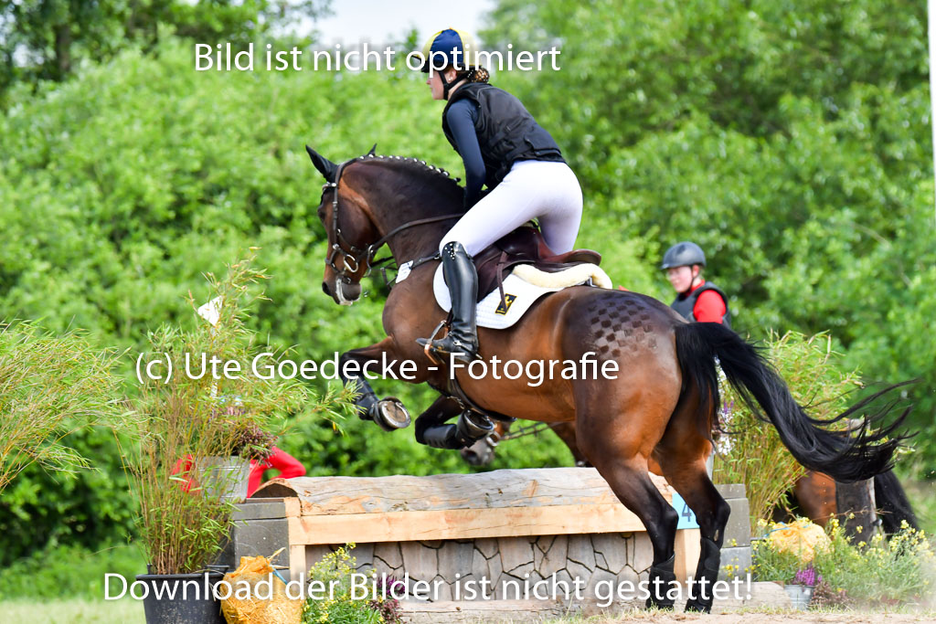 Goldene Schärpe PFerde  in Löningen  11+12.6.22 | 11062022 - Gelände 1 Abt_1099 