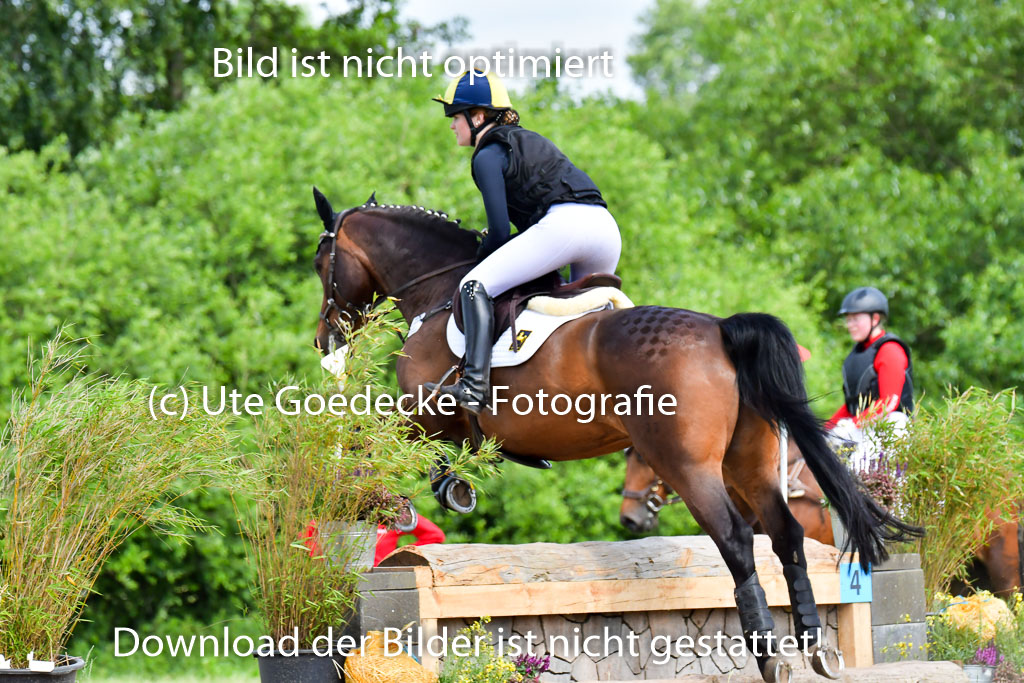Goldene Schärpe PFerde  in Löningen  11+12.6.22 | 11062022 - Gelände 1 Abt_1100 