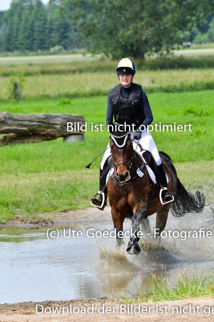 Goldene Schärpe PFerde  in Löningen  11+12.6.22 | 11062022 - Gelände 1 Abt_1104 