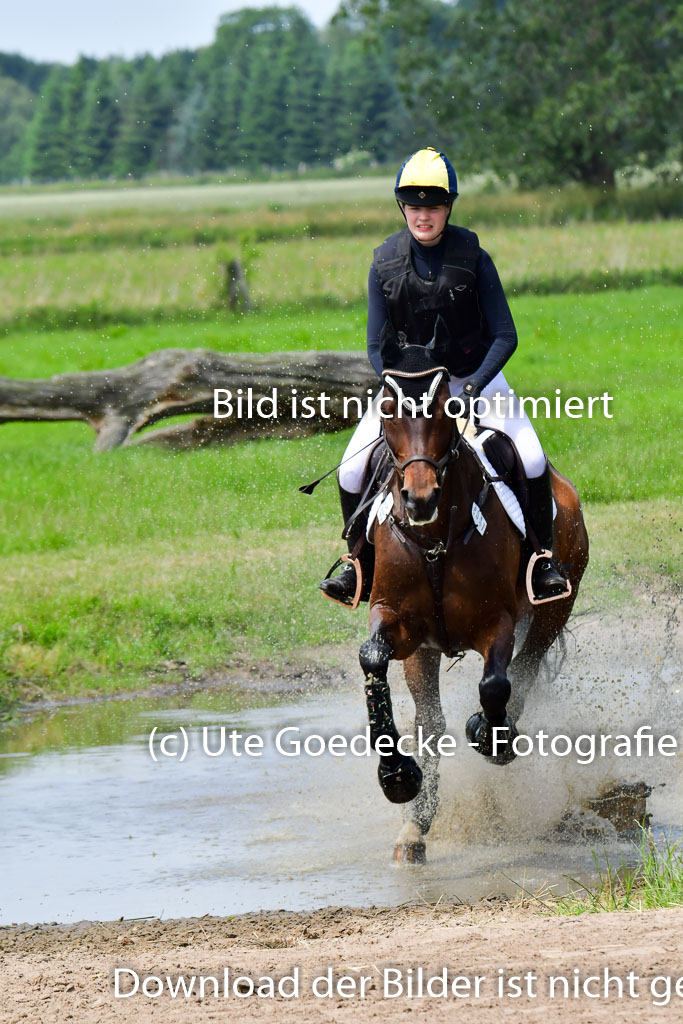 Goldene Schärpe PFerde  in Löningen  11+12.6.22 | 11062022 - Gelände 1 Abt_1105