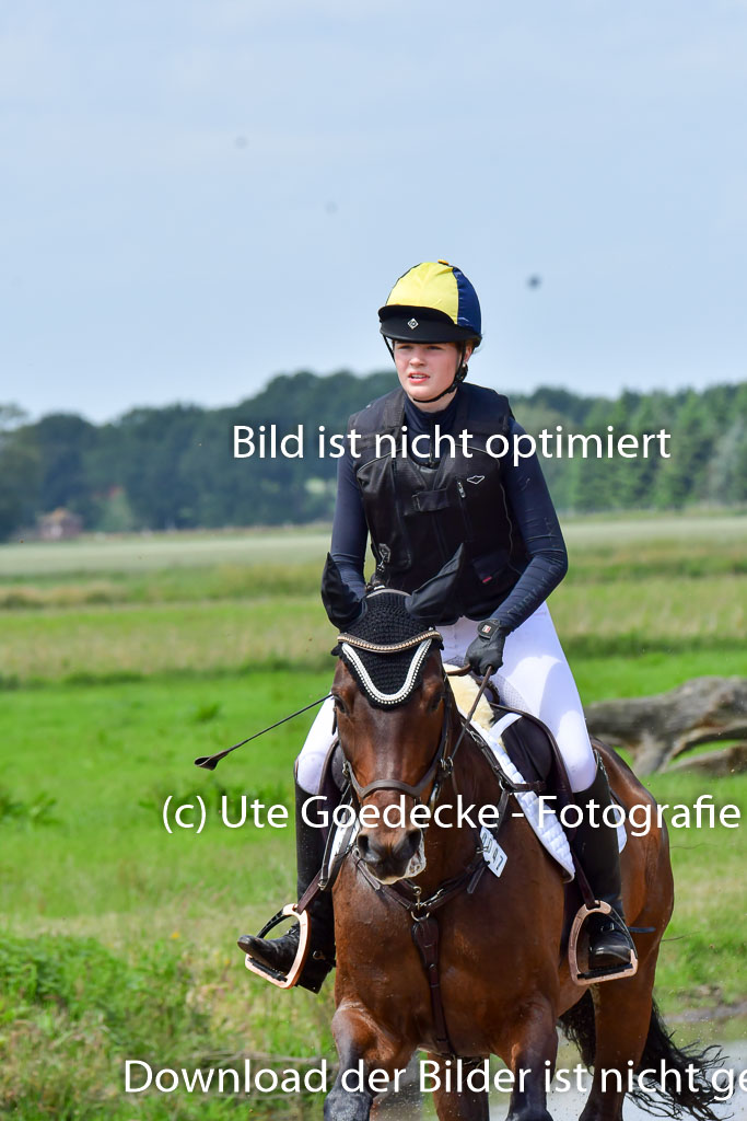 Goldene Schärpe PFerde  in Löningen  11+12.6.22 | 11062022 - Gelände 1 Abt_1107 