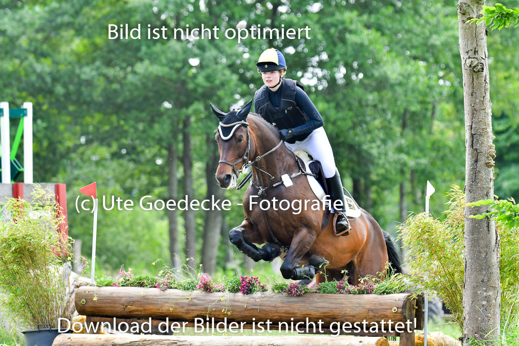 Goldene Schärpe PFerde  in Löningen  11+12.6.22 | 11062022 - Gelände 1 Abt_1109