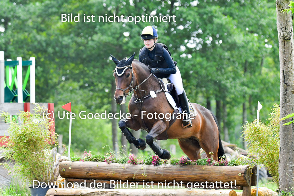 Goldene Schärpe PFerde  in Löningen  11+12.6.22 | 11062022 - Gelände 1 Abt_1110 