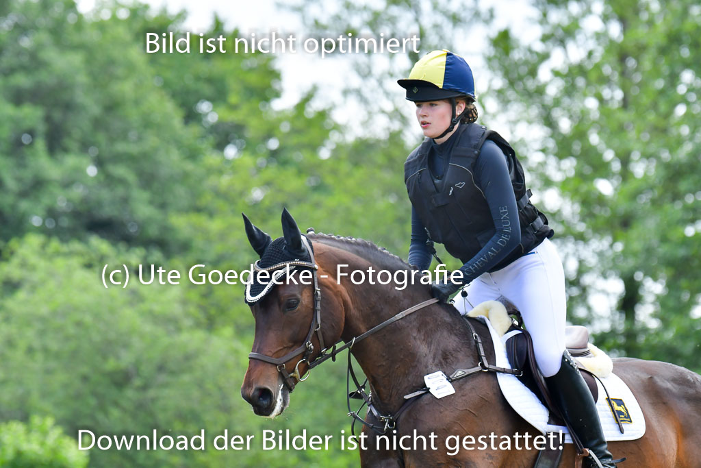 Goldene Schärpe PFerde  in Löningen  11+12.6.22 | 11062022 - Gelände 1 Abt_1112 