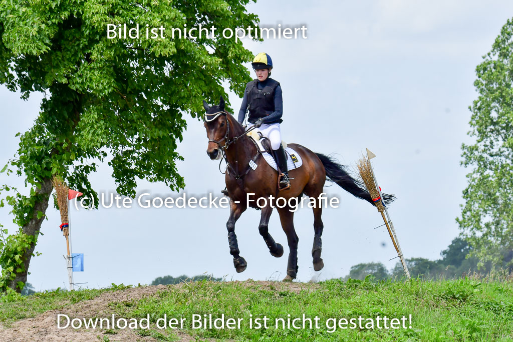 Goldene Schärpe PFerde  in Löningen  11+12.6.22 | 11062022 - Gelände 1 Abt_1115 