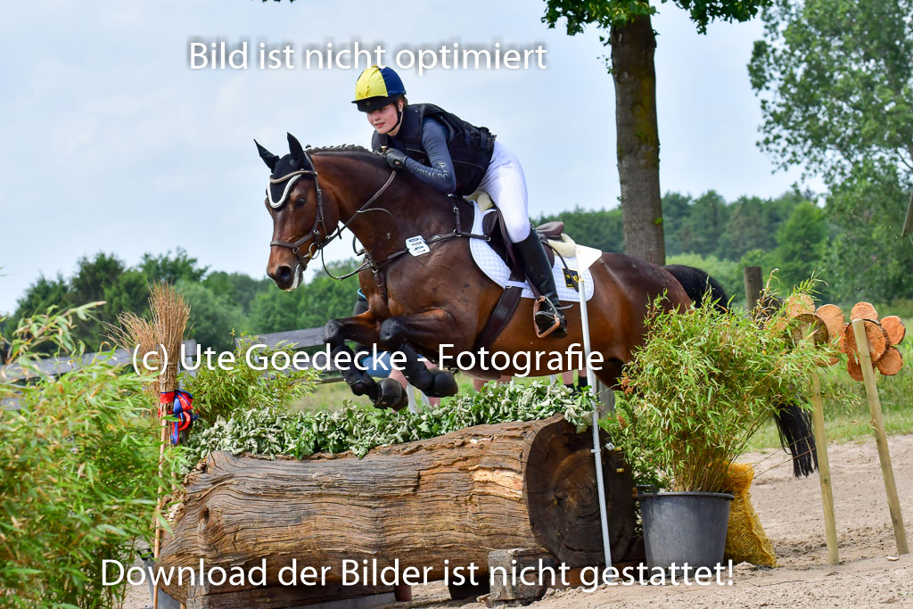 Goldene Schärpe PFerde  in Löningen  11+12.6.22 | 11062022 - Gelände 1 Abt_1117 