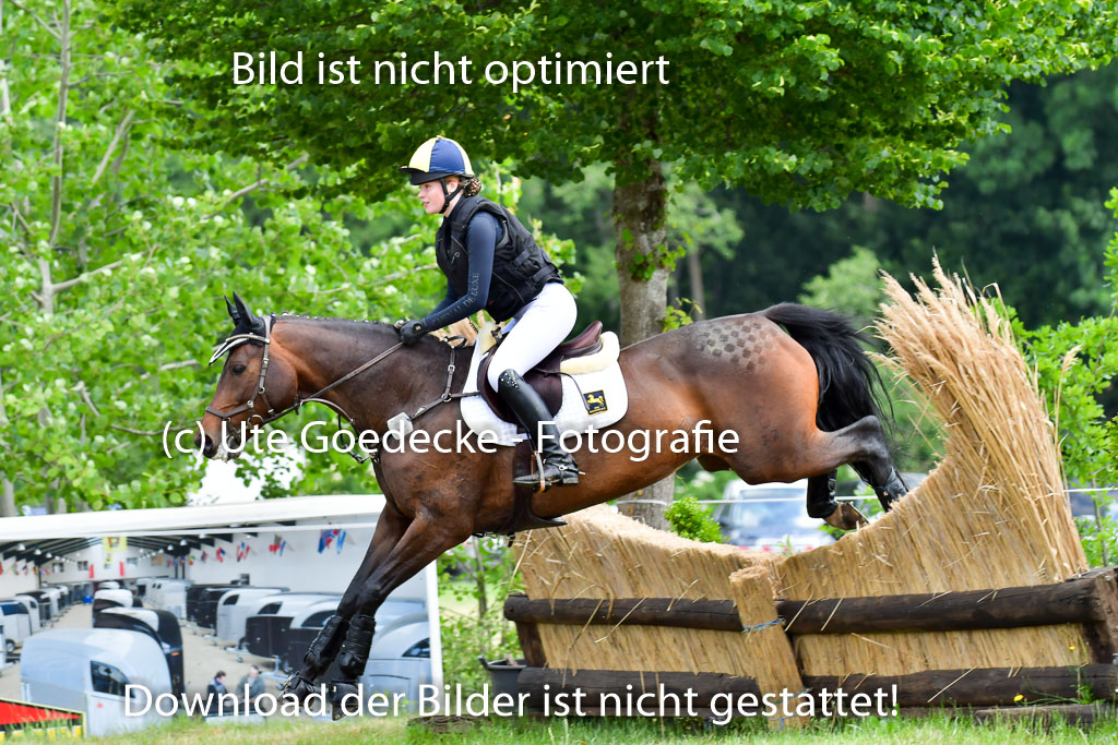 Goldene Schärpe PFerde  in Löningen  11+12.6.22 | 11062022 - Gelände 1 Abt_1121 