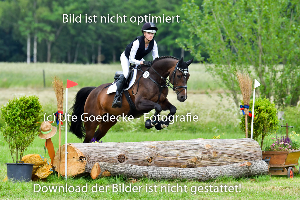 Goldene Schärpe PFerde  in Löningen  11+12.6.22 | 11062022 - Gelände 1 Abt_1122 