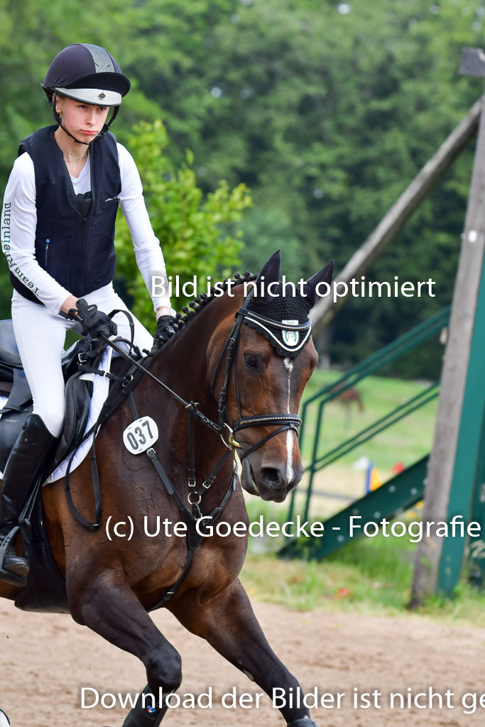Goldene Schärpe PFerde  in Löningen  11+12.6.22 | 11062022 - Gelände 1 Abt_1124 
