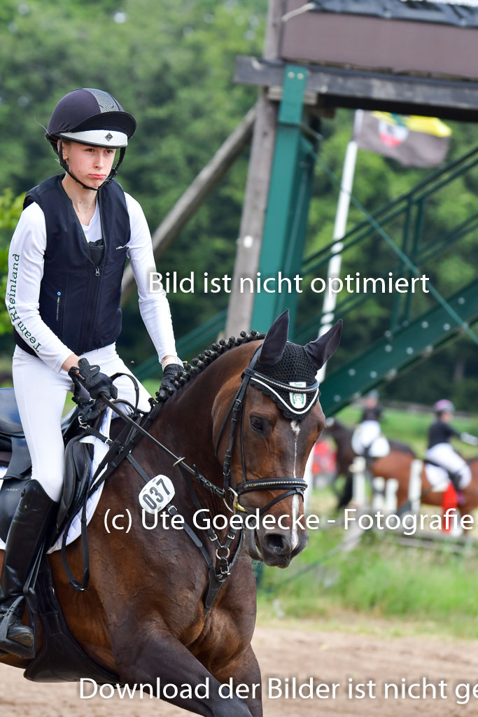 Goldene Schärpe PFerde  in Löningen  11+12.6.22 | 11062022 - Gelände 1 Abt_1125 