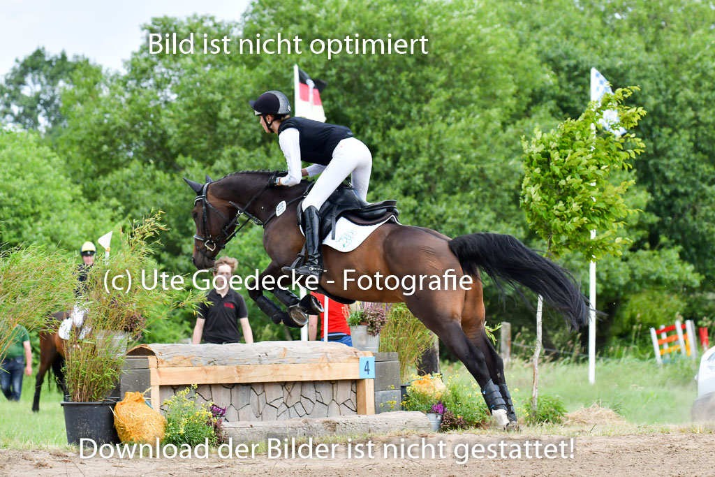 Goldene Schärpe PFerde  in Löningen  11+12.6.22 | 11062022 - Gelände 1 Abt_1126 
