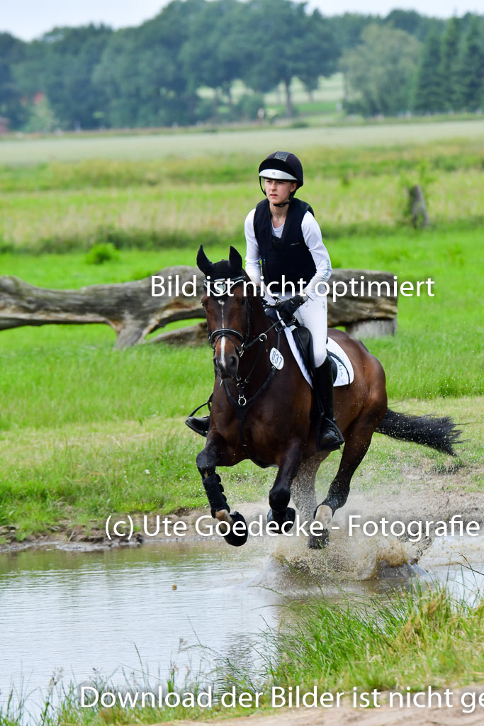 Goldene Schärpe PFerde  in Löningen  11+12.6.22 | 11062022 - Gelände 1 Abt_1128 