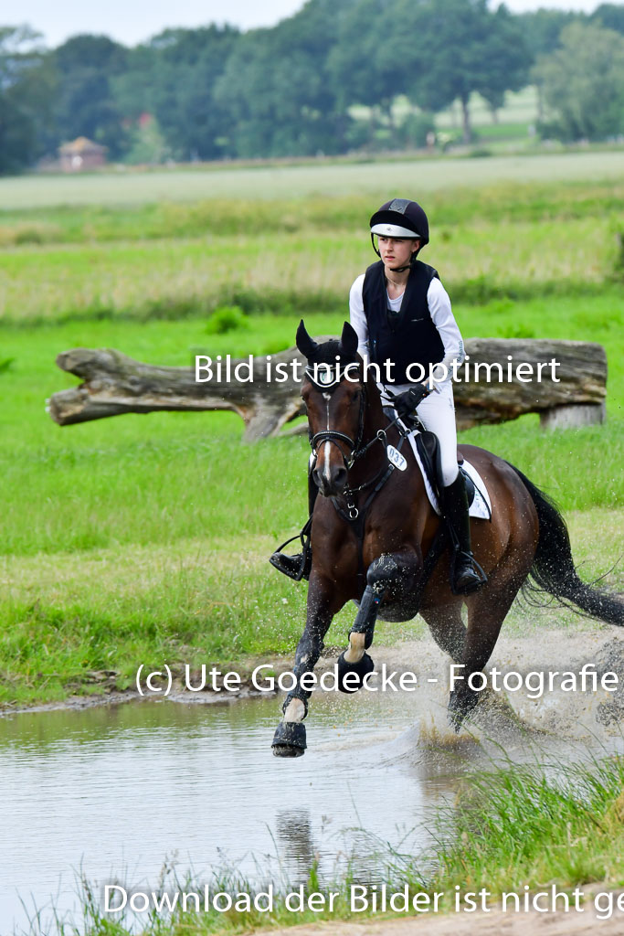 Goldene Schärpe PFerde  in Löningen  11+12.6.22 | 11062022 - Gelände 1 Abt_1129 