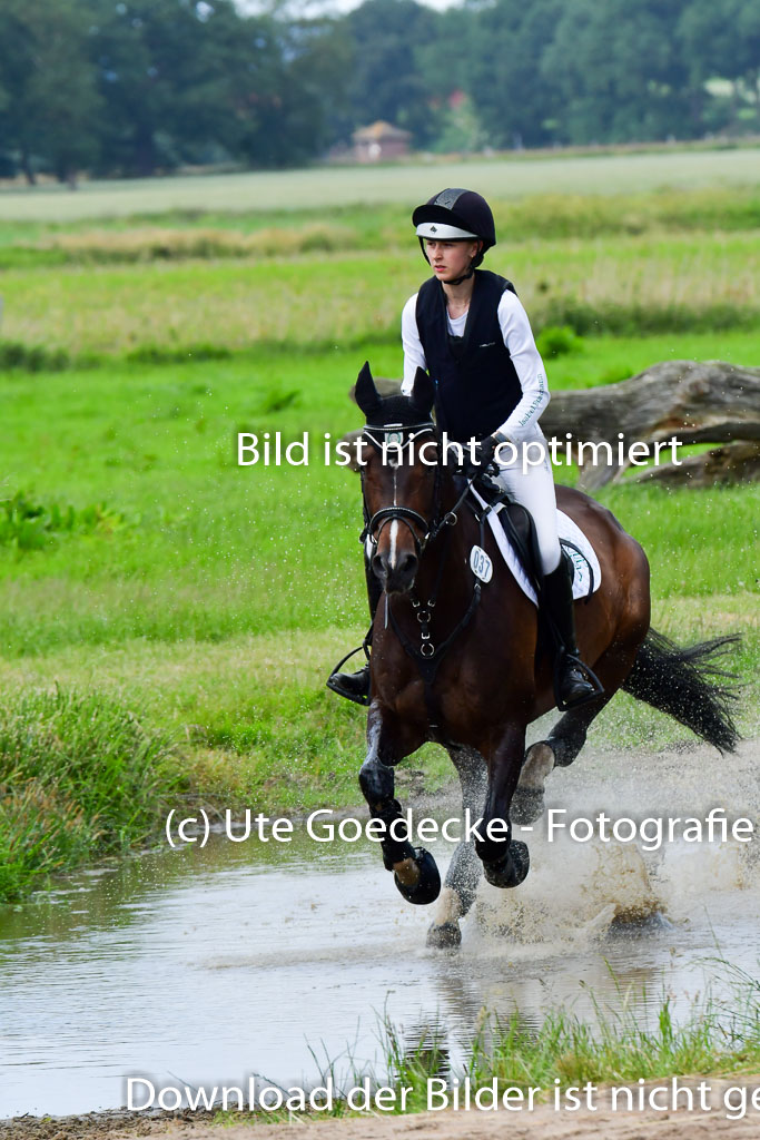 Goldene Schärpe PFerde  in Löningen  11+12.6.22 | 11062022 - Gelände 1 Abt_1130 