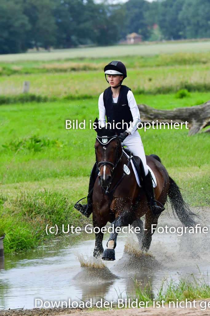 Goldene Schärpe PFerde  in Löningen  11+12.6.22 | 11062022 - Gelände 1 Abt_1132 