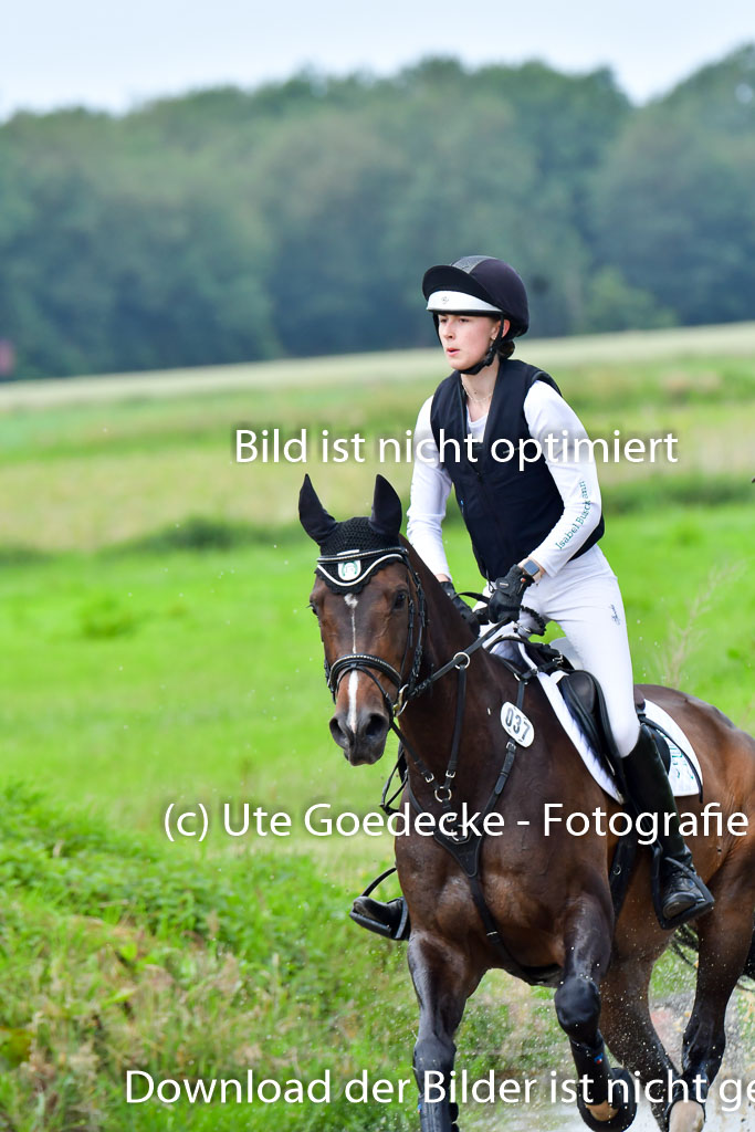 Goldene Schärpe PFerde  in Löningen  11+12.6.22 | 11062022 - Gelände 1 Abt_1133 