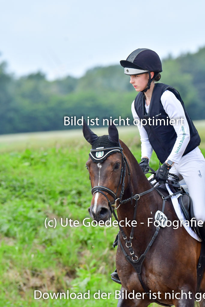 Goldene Schärpe PFerde  in Löningen  11+12.6.22 | 11062022 - Gelände 1 Abt_1134 