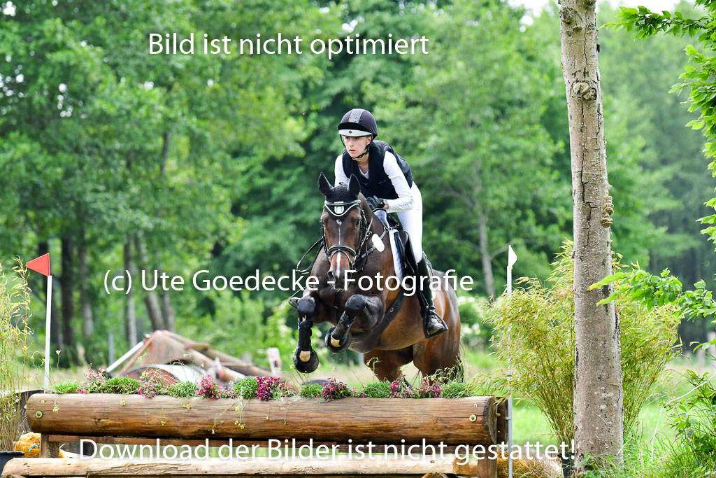 Goldene Schärpe PFerde  in Löningen  11+12.6.22 | 11062022 - Gelände 1 Abt_1135 