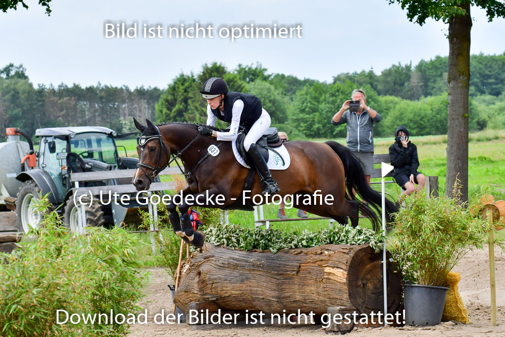 Goldene Schärpe PFerde  in Löningen  11+12.6.22 | 11062022 - Gelände 1 Abt_1138 