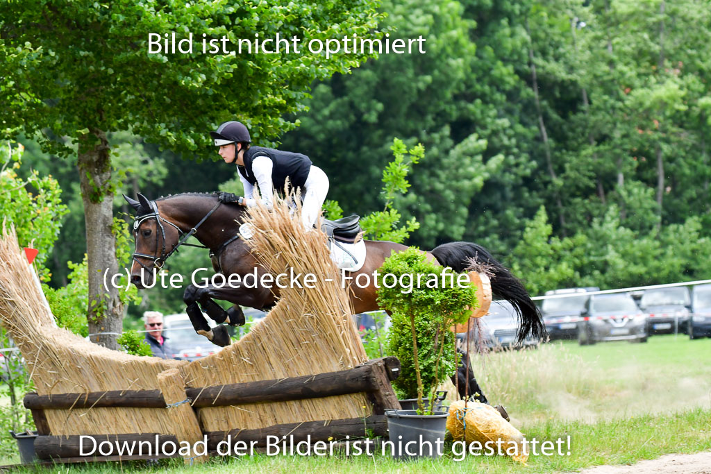 Goldene Schärpe PFerde  in Löningen  11+12.6.22 | 11062022 - Gelände 1 Abt_1139 