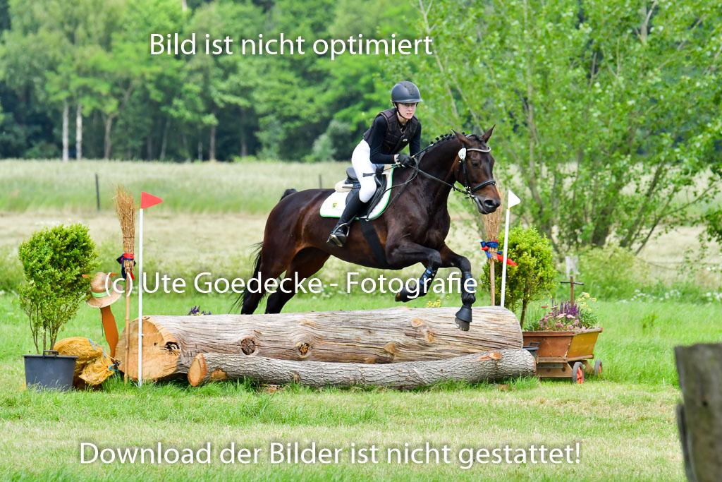 Goldene Schärpe PFerde  in Löningen  11+12.6.22 | 11062022 - Gelände 1 Abt_1142 