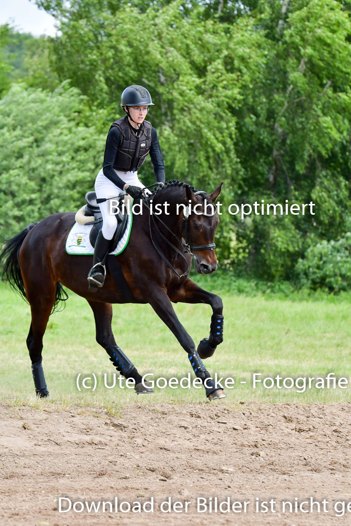 Goldene Schärpe PFerde  in Löningen  11+12.6.22 | 11062022 - Gelände 1 Abt_1143 
