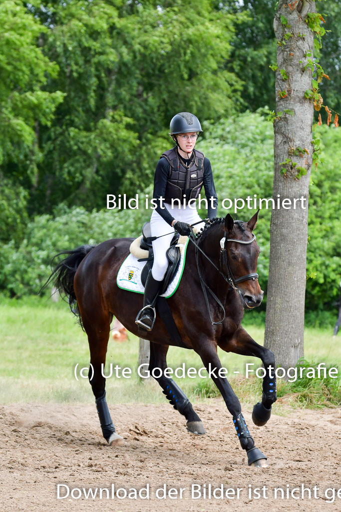 Goldene Schärpe PFerde  in Löningen  11+12.6.22 | 11062022 - Gelände 1 Abt_1144 