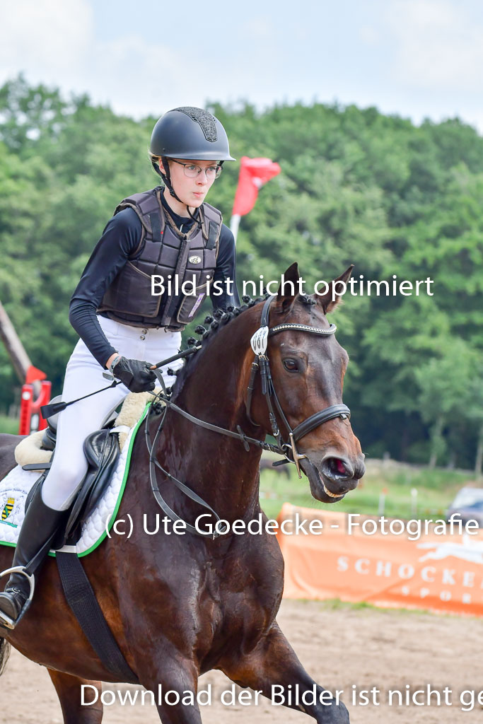 Goldene Schärpe PFerde  in Löningen  11+12.6.22 | 11062022 - Gelände 1 Abt_1145 