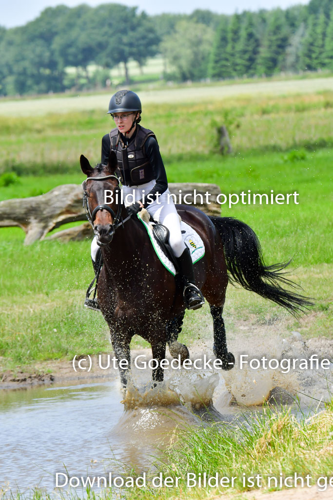 Goldene Schärpe PFerde  in Löningen  11+12.6.22 | 11062022 - Gelände 1 Abt_1148 