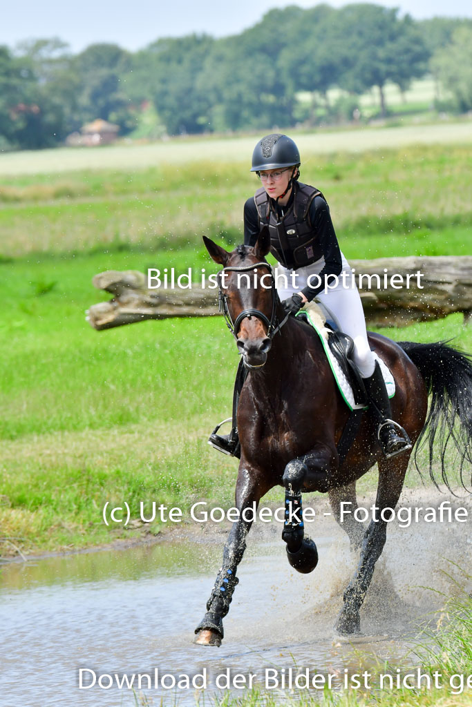 Goldene Schärpe PFerde  in Löningen  11+12.6.22 | 11062022 - Gelände 1 Abt_1149 