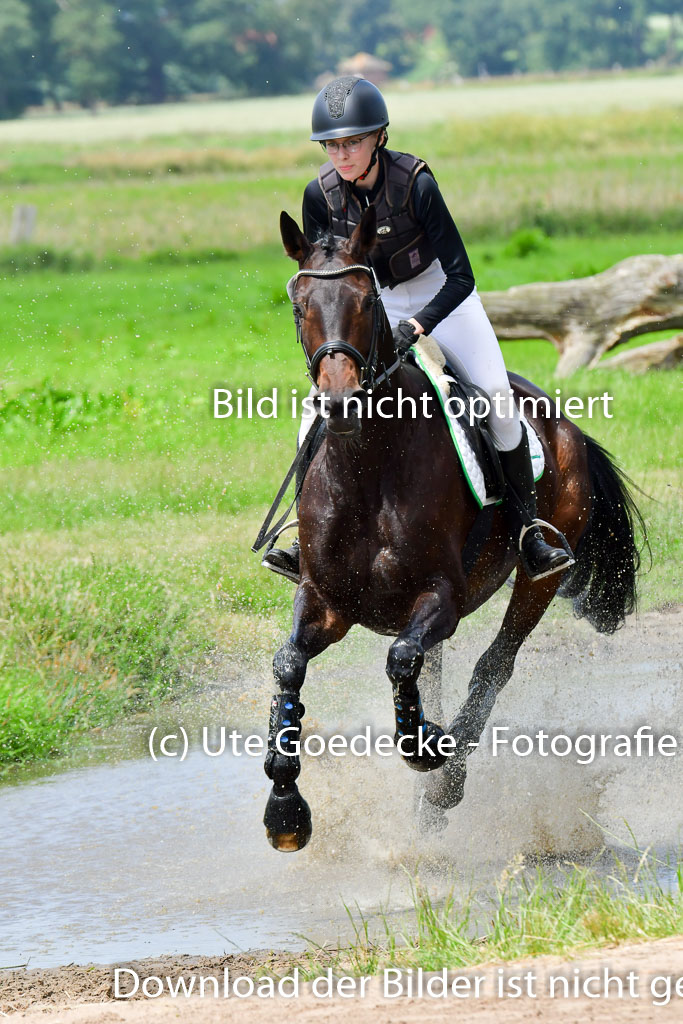 Goldene Schärpe PFerde  in Löningen  11+12.6.22 | 11062022 - Gelände 1 Abt_1150 