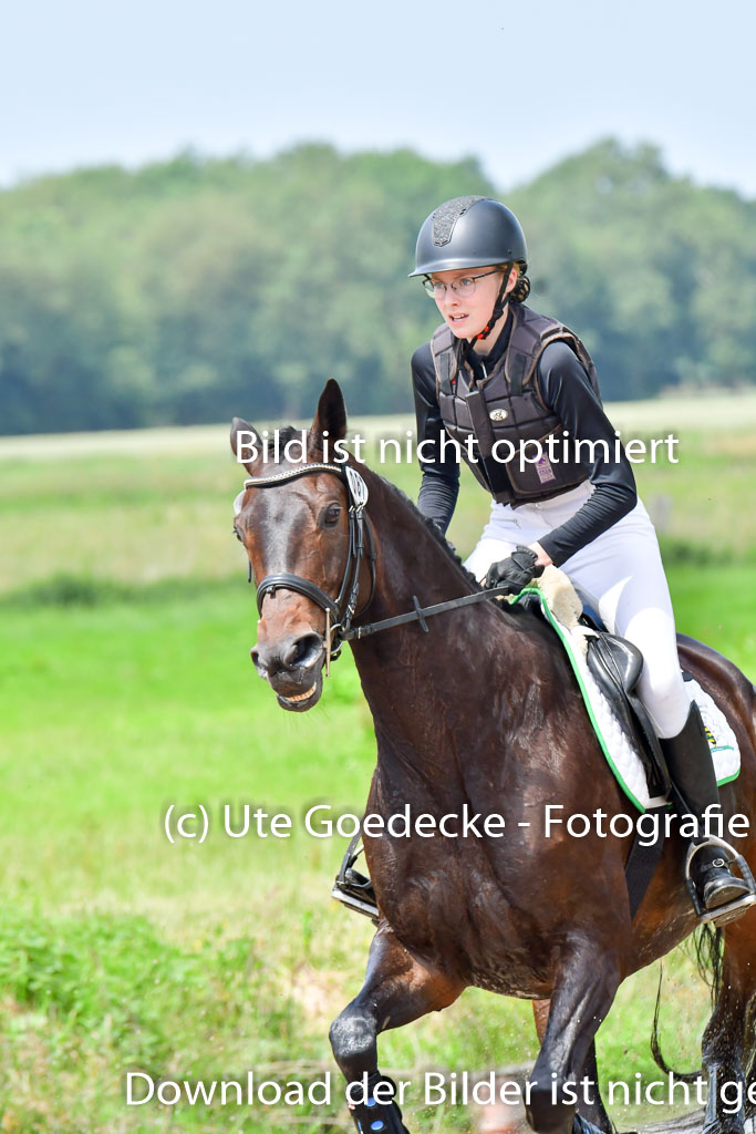 Goldene Schärpe PFerde  in Löningen  11+12.6.22 | 11062022 - Gelände 1 Abt_1152 