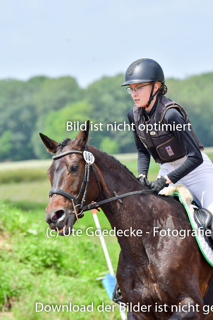 Goldene Schärpe PFerde  in Löningen  11+12.6.22 | 11062022 - Gelände 1 Abt_1153 