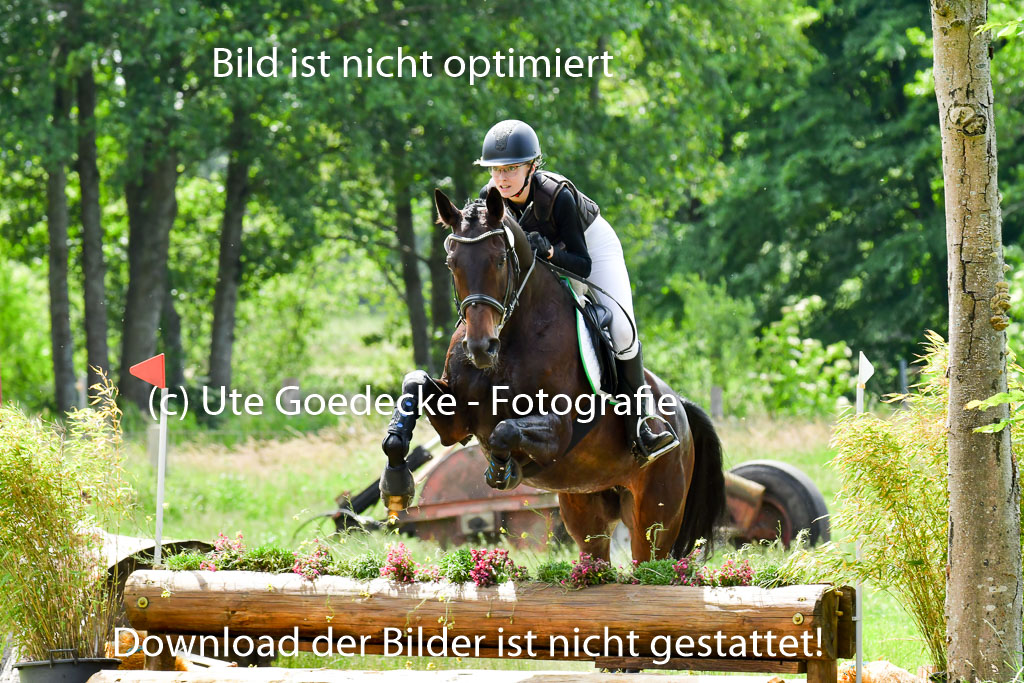 Goldene Schärpe PFerde  in Löningen  11+12.6.22 | 11062022 - Gelände 1 Abt_1154 