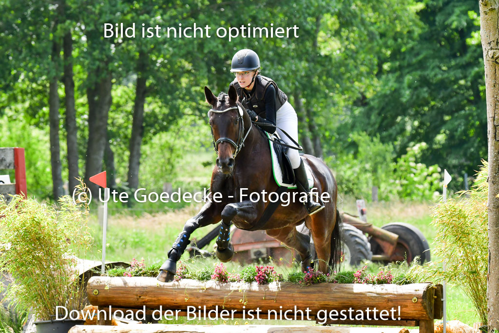 Goldene Schärpe PFerde  in Löningen  11+12.6.22 | 11062022 - Gelände 1 Abt_1155 