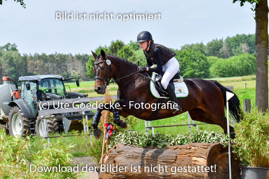 Goldene Schärpe PFerde  in Löningen  11+12.6.22 | 11062022 - Gelände 1 Abt_1163 
