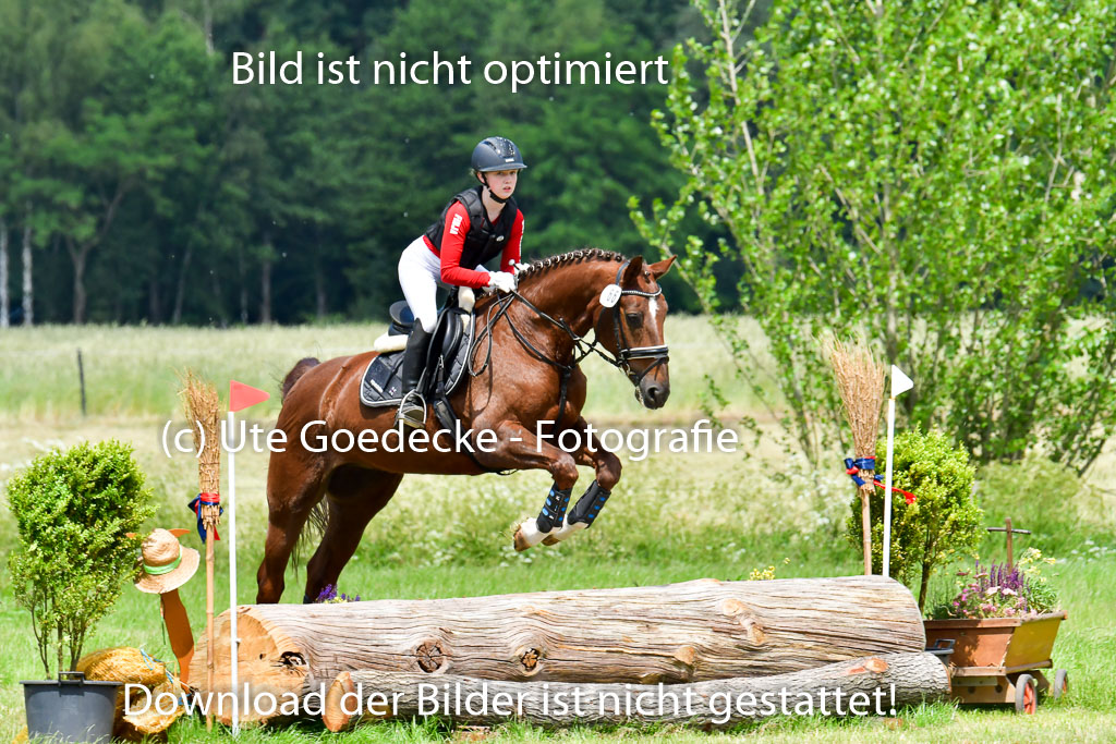 Goldene Schärpe PFerde  in Löningen  11+12.6.22 | 11062022 - Gelände 1 Abt_1166 