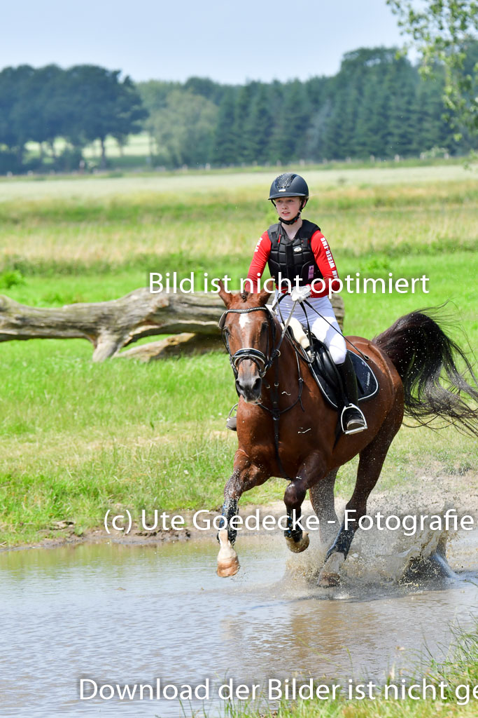 Goldene Schärpe PFerde  in Löningen  11+12.6.22 | 11062022 - Gelände 1 Abt_1169 